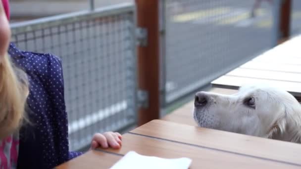 Divertido video - niña alimentando a su perro en un café amigable con animales con papas fritas — Vídeos de Stock