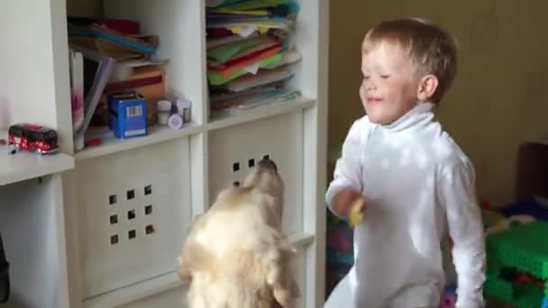 Style de vie maison. petit garçon joue à la maison avec son gros chien — Video