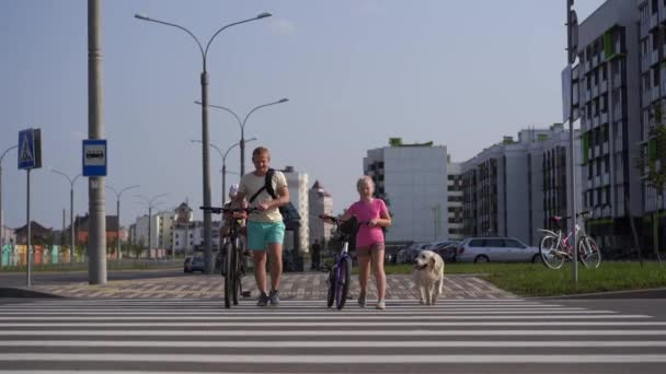 Жизнь с домашними животными в современном городе - семья с велосипедами и большой собакой, переходящей дорогу — стоковое видео