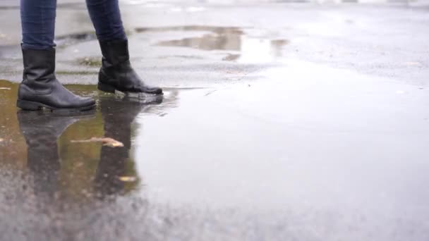 Una chica con botas de cuero negro y un gran perro blanco pasea en el charco de otoño durante la lluvia — Vídeo de stock