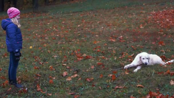 欧州外観の幸せな小さな女の子が楽しんで大きな美しい犬と秋の公園で遊んで — ストック動画