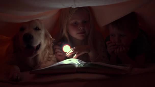 Vida feliz com animais de estimação - crianças pequenas à noite lendo um livro sob as capas com seu cachorro grande — Vídeo de Stock