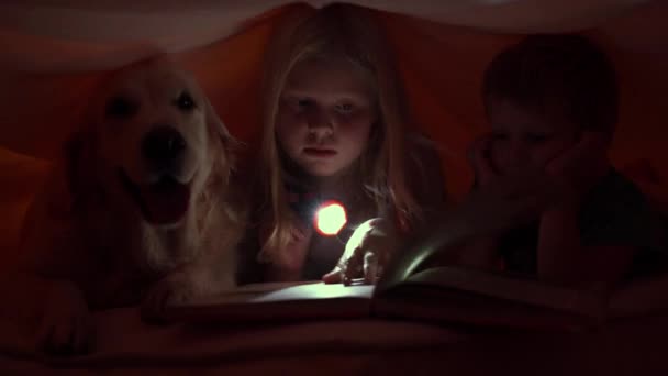 Ευτυχισμένη ζωή με τα κατοικίδια - μικρά παιδιά το βράδυ διαβάζοντας ένα βιβλίο κάτω από τα σκεπάσματα με τους μεγάλο σκύλο — Αρχείο Βίντεο