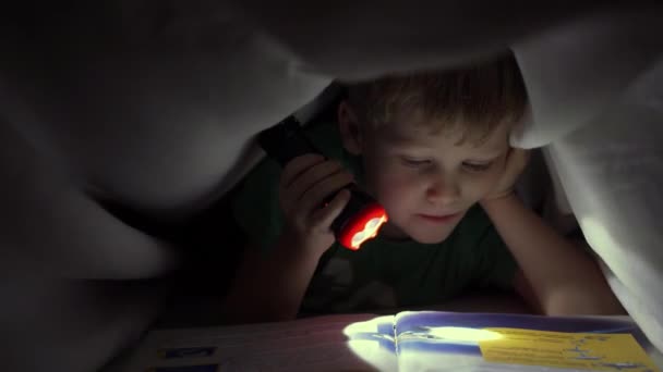 Niño leyendo un libro por la noche bajo una manta con una linterna — Vídeos de Stock