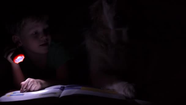 Szczęśliwe życie ze zwierzętami - mały chłopiec w nocy z książką pod kołdrą z ich big dog — Wideo stockowe