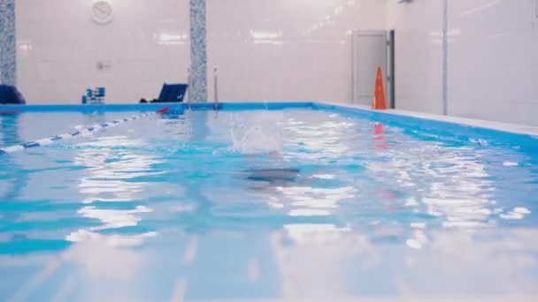 Yüzme Dersleri Için Çocuk Havuzu Güzel Tenli Kız Suda Yüzüyor — Stok video
