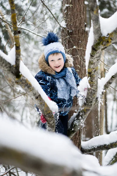 Happy childhood - little cheerful boy climbing a tree in a snowy forest in winter — Stock Photo, Image