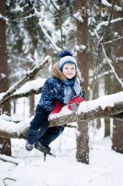 mutlu çocukluk - küçük neşeli çocuk kışın karlı bir orman içinde bir ağaç tırmanma