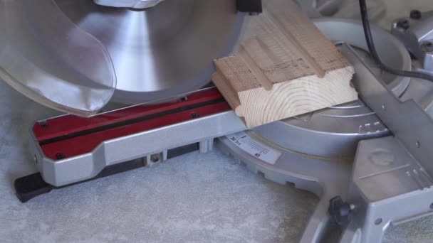 Schönheit in Zeitlupe. Holzbearbeitung im Haus - ein junger professioneller Mann verlegt einen Kiefernholzboden — Stockvideo