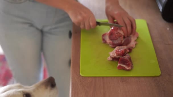 Kvinna hemma i köket skär kött och matar honom en hund — Stockvideo