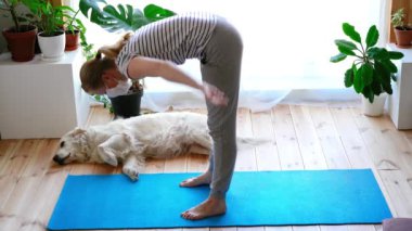 Evde kal. Karantina sırasında oturma odasında yoga yapan bir kadın. Yakınlarda büyük bir köpek yatıyor..