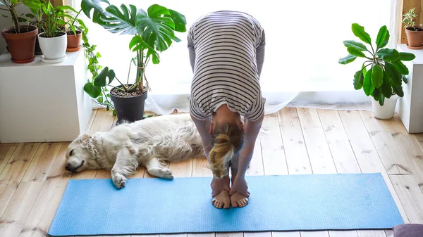 Quédate en casa. mujer haciendo yoga en la sala de estar durante la cuarentena, un perro grande está tirado cerca . — Foto de Stock