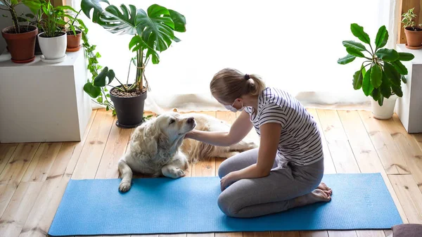 Stanna hemma. kvinna som gör yoga i vardagsrummet under karantän, en stor hund ligger i närheten. — Stockfoto