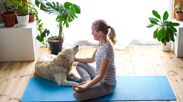 Stanna hemma. kvinna som gör yoga i vardagsrummet under karantän, en stor hund ligger i närheten. — Stockfoto