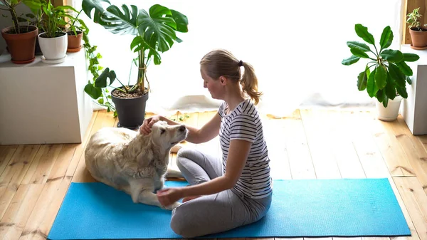 Stanna hemma. kvinna som gör yoga i vardagsrummet under karantän, en stor hund ligger i närheten. — Stockfoto