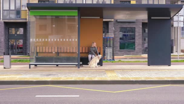 Vida com animais de estimação na cidade. adolescente sentada com seu cão em uma parada de transporte público, esperando por um ônibus — Vídeo de Stock