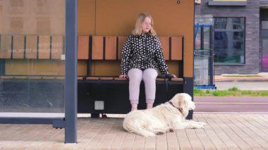 Şehirdeki evcil hayvanlarla yaşamak. Genç bir kız köpeğiyle toplu taşıma durağında oturuyor, otobüs bekliyor.