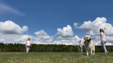 Sağlıklı bir yaşam tarzı ve evcil hayvanlar için sevgi. Sahada topla oynayan büyük bir köpeği olan bir aile.