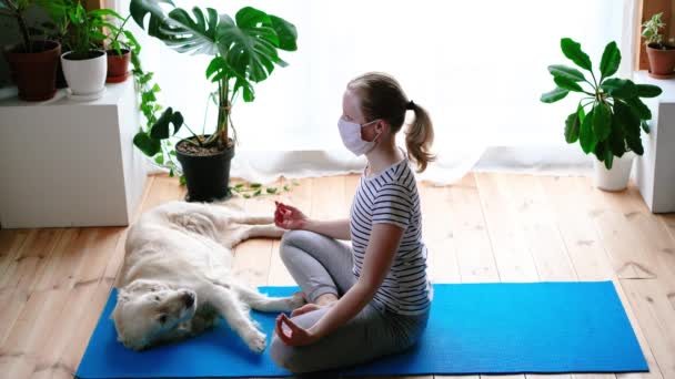Blijf thuis. vrouw doet yoga in de woonkamer tijdens quarantaine, een grote hond ligt in de buurt. — Stockvideo