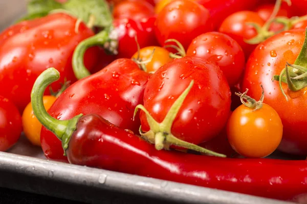 Cherry Rajčata Papriky Čerstvě Vybral Zahrady — Stock fotografie