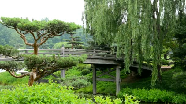 Brücke Über Den Fluss Zum Japanischen Garten — Stockvideo