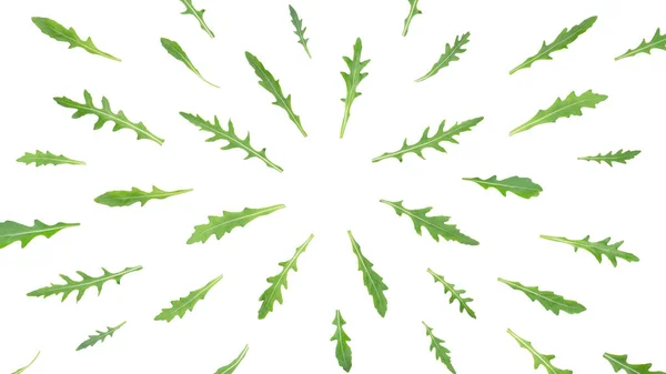 Arugula yaprakları eşmerkezli daireler çizerek uçuyor.