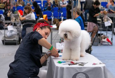 Damat köpek kılı kesme.