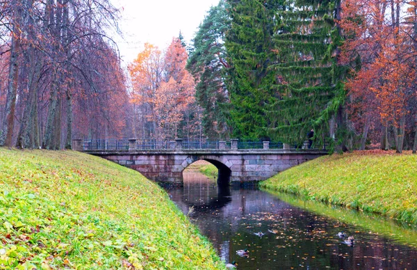 Stenhistorisk bro i Oranienbaum Park. — Stockfoto