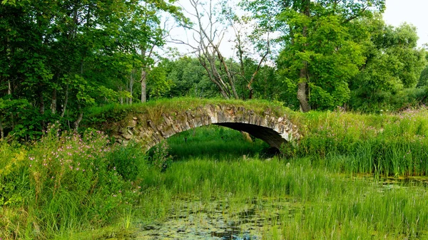 Eski malikâne Demidov 'un taş köprüsünü terk etti. Taytsy, Leningrad Bölgesi
