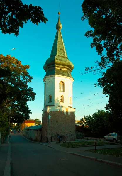 Středověká Radniční Věž Vyborgu Rusko 2020 — Stock fotografie