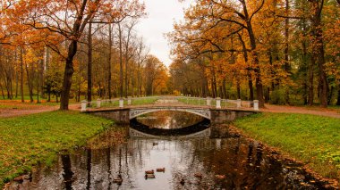 Alexander Park Sonbaharda, Puşkin Tsarskoe Selo, St. Petersburg, Rusya - 9 Ekim 2020