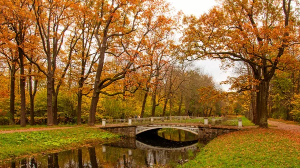 亚历山大公园在秋天 普希金Tsarskoe Selo 圣彼得堡 2020年10月9日 — 图库照片