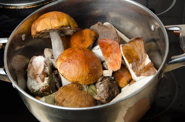 Mushrooms Saucepan Birch Bolete Leccinum Scabrum — Stock Photo, Image