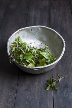 Siyah ahşap bir masa üzerinde taze yeşil fesleğen ile eski bir alüminyum kevgir. Kevgirin yanında fesleğen libir sürü.