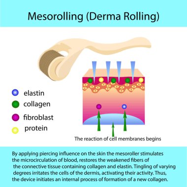 Mesorolling işlemi describtion ve hücre yapısı ile