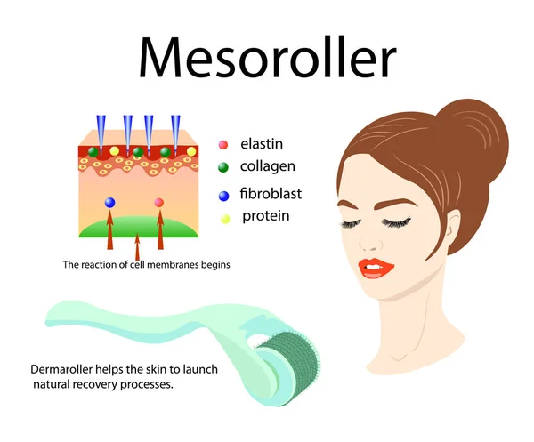 Applicazione di Mesoroller, faccia di una ragazza e struttura della pelle — Vettoriale Stock
