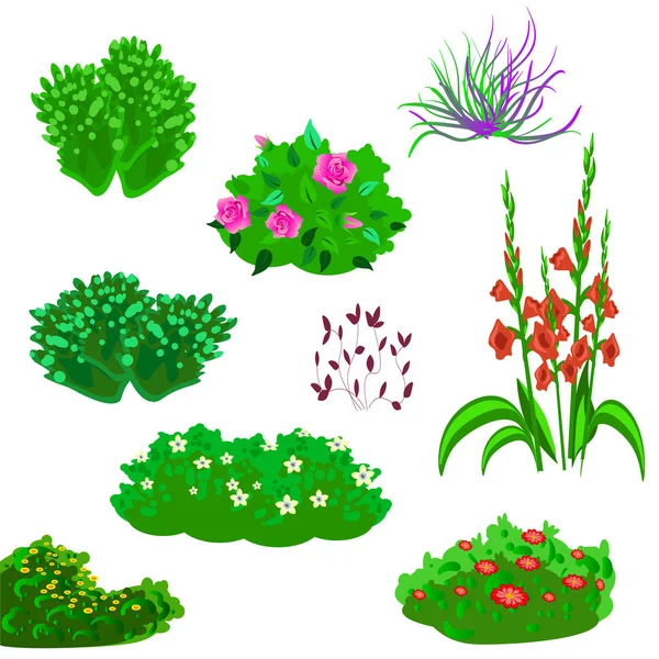 Vecor ensemble de plantes de jardin et de fleurs — Image vectorielle