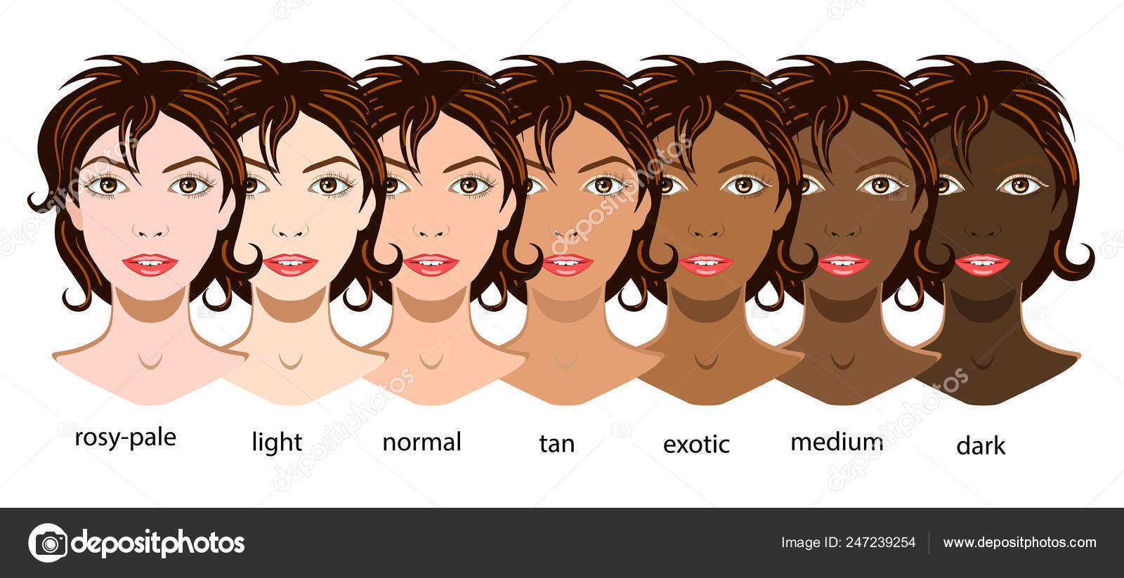 Un ensemble vectoriel de six types de peau allant de pâle à exotique