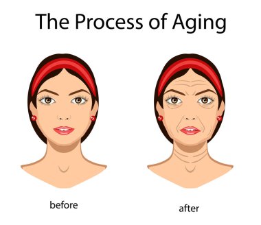 Yaşlanma, vektör illüstrasyon izole anahtar işaretleri