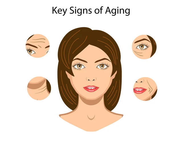 Key signs of aging, vector illustration isolated — Stock Vector