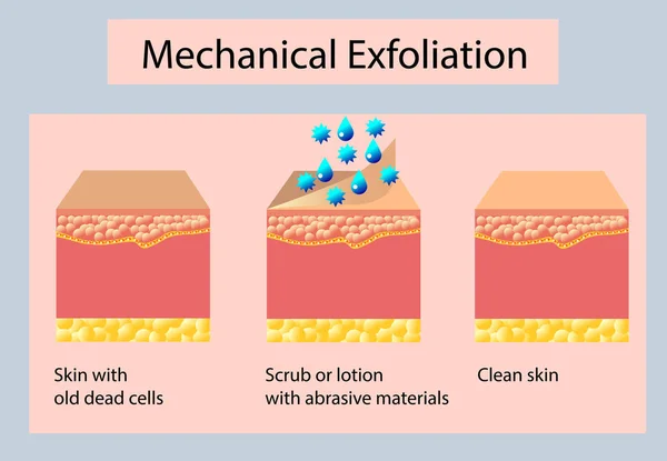 Mechaniczne złuszczanie lub peeling, ilustracja wektorowa na jasnym tle — Wektor stockowy