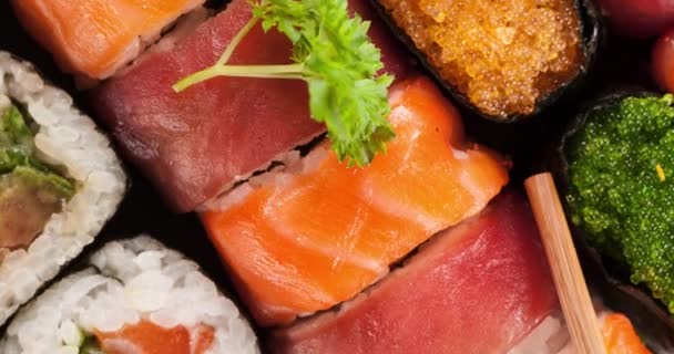 Divers Soort Schuifregelaar Bewegingseffect Stuks Sushi — Stockvideo
