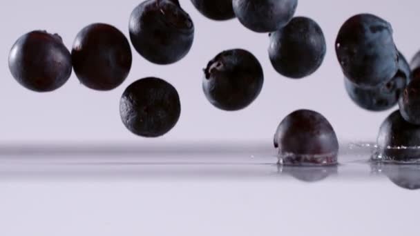 Супер Медленное Движение Падающей Черники Воду Съемки Кинокамеру Замедленного Действия — стоковое видео