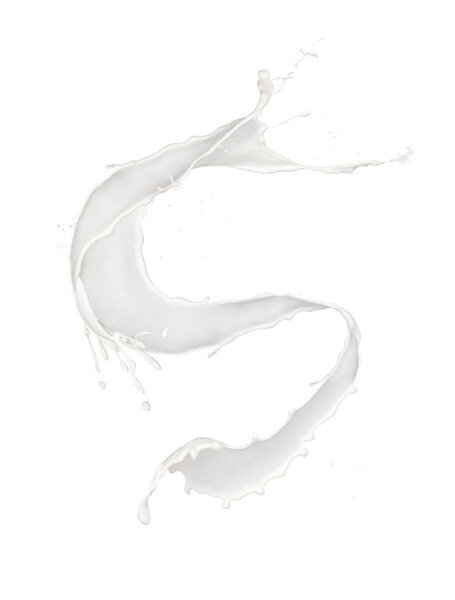Abstract splash of milk isolated on white background. High resolution texture