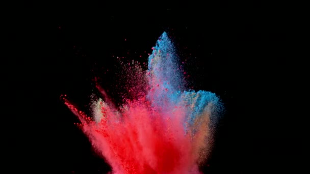 黒の背景に分離された着色された粉体爆発の超スローモーション 高速度カメラ 1000 Fps で撮影 — ストック動画