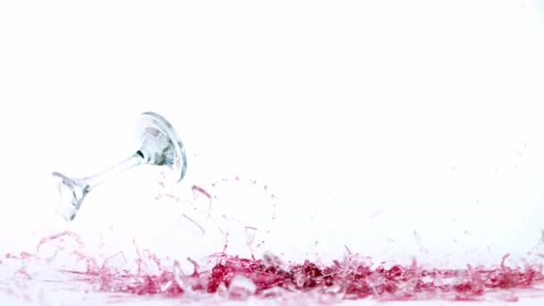 Super Slow Motion Fallande Glas Rött Vin Isolerad Vit Bakgrund — Stockvideo
