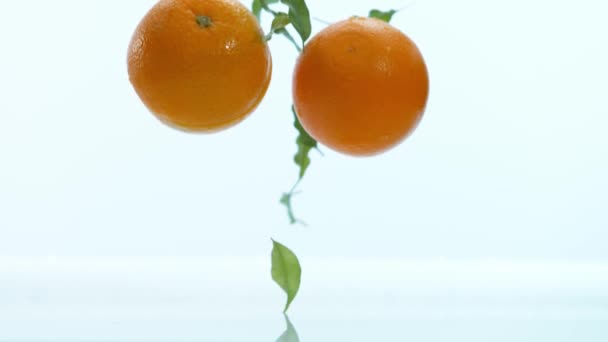 Mouvement Super Lent Morceaux Oranges Tombants Isolés Sur Fond Blanc — Video