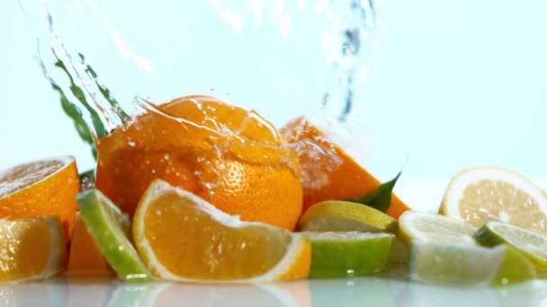 Сверхмедленное Движение Лаймов Апельсинов Лимонов Выплеском Воды Белом Фоне Съемка — стоковое видео