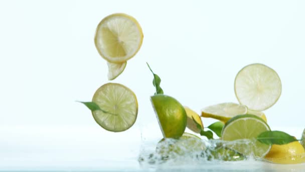 Mouvement Super Lent Morceaux Limes Citrons Tombants Sur Fond Blanc — Video