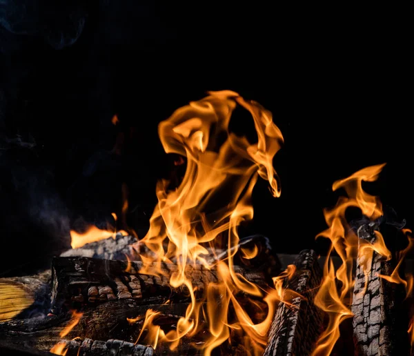 Burning wooden logs in fire, campfire isolated on black background